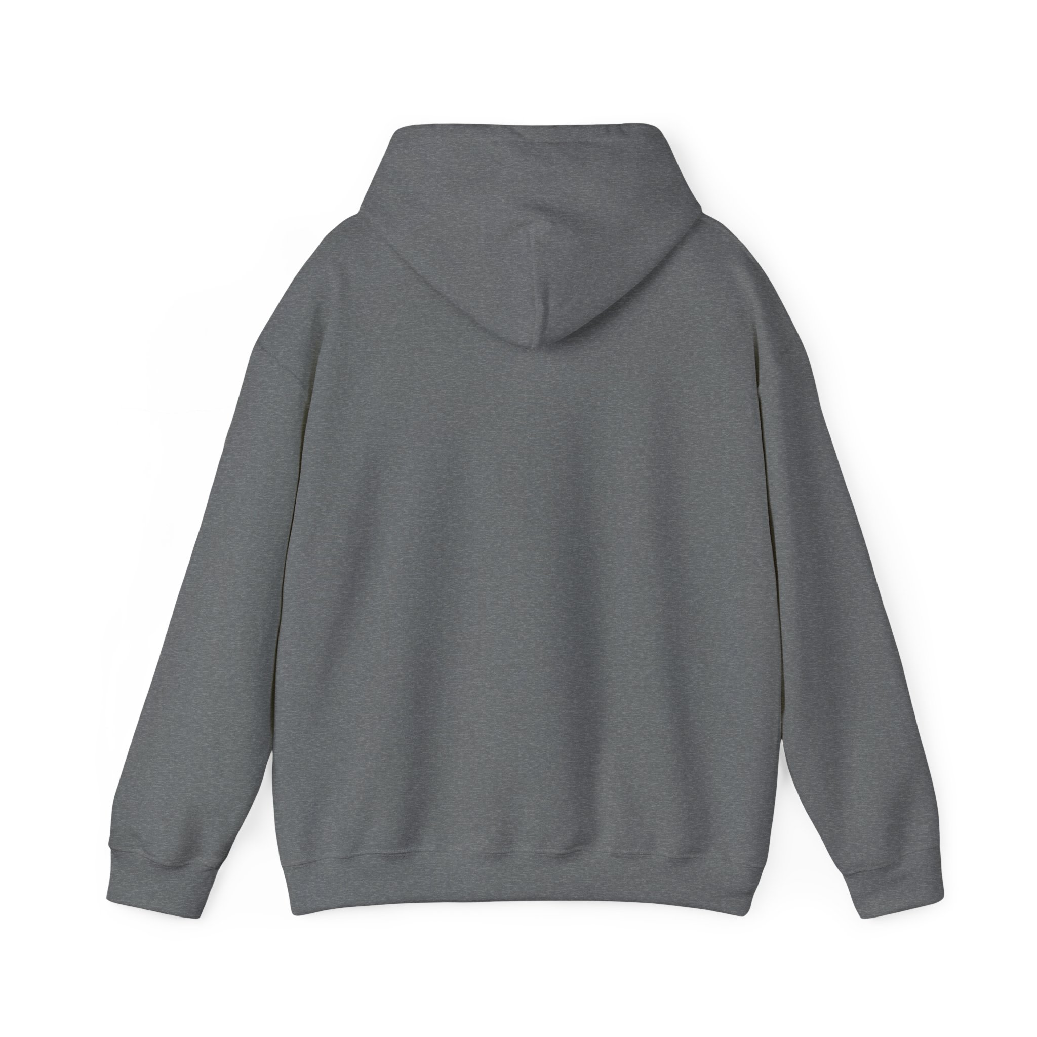 Stay Salty Hooded Sweatshirt, Cozy Unisex Sweatshirt, Funny Hoodie, Casual Wear, Gift for Sea Lovers, Beach Day Essentials - Image 5
